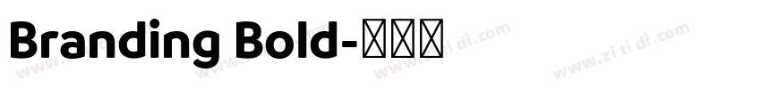 Branding Bold字体转换